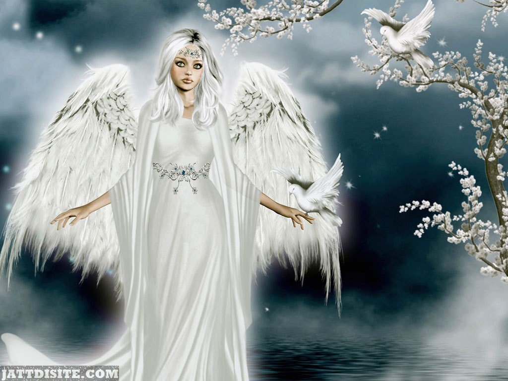 Beautiful Angel In White Dress - JattDiSite.com