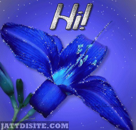Blue-Hi-Flower-