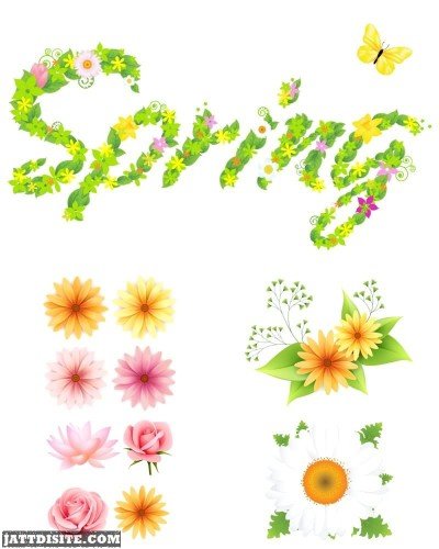 Spring Wishes Flower Text Greeting Card