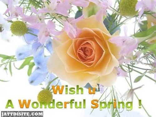 Wish You A Wonderful Spring