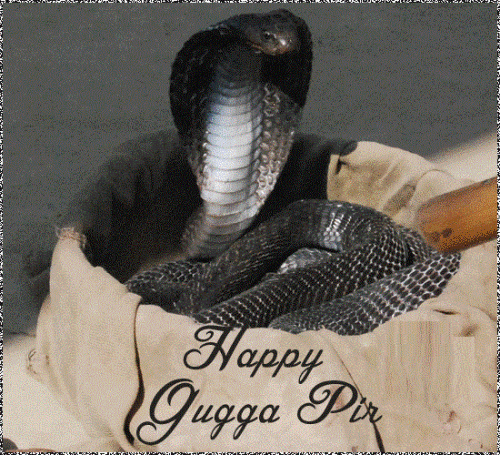 Happy Gugga Pir
