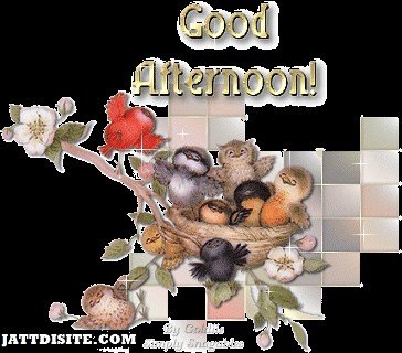 Good-Afternoon-Graphics-601