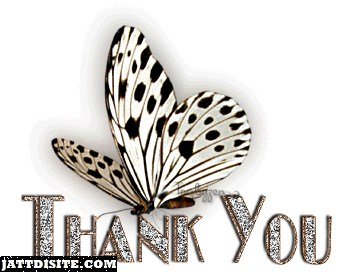 Thankyou Greeting With Butterfly