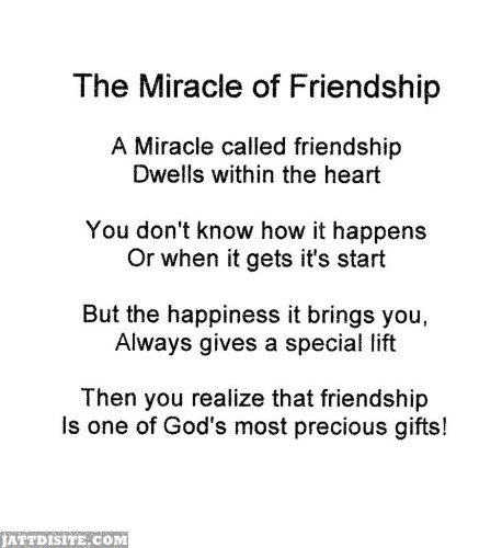 The Miracle Of Friendship
