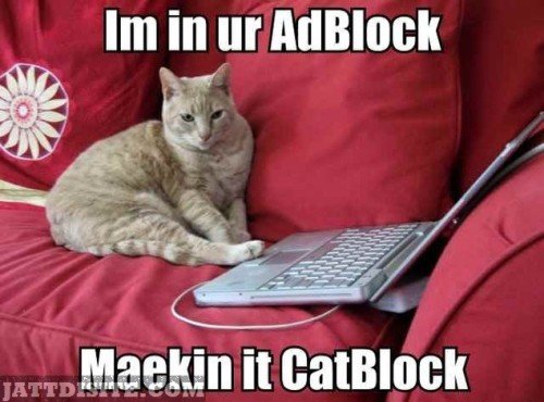 Adblock-Foolish-Cat-