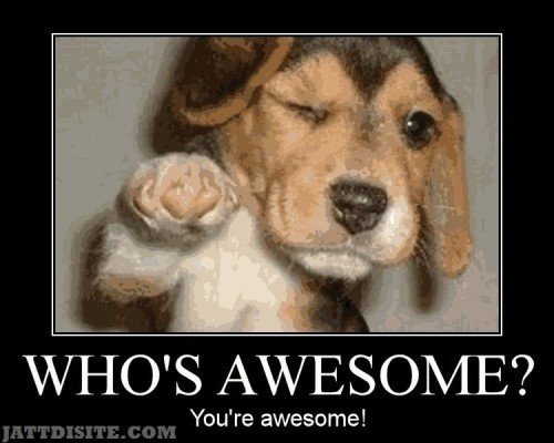 Who’s Awesome