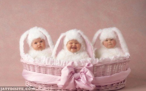 Babies-In-the-Basket-