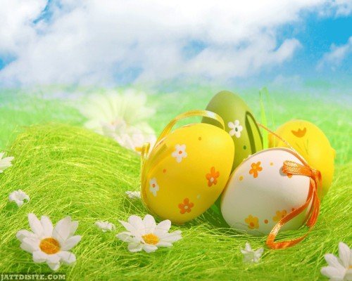 Beautiful-Colourful-Eggs