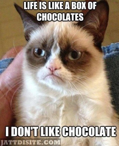Chocolate-Cat-