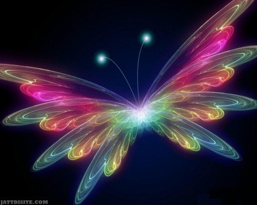 ColourFul-3D-Butterfly-