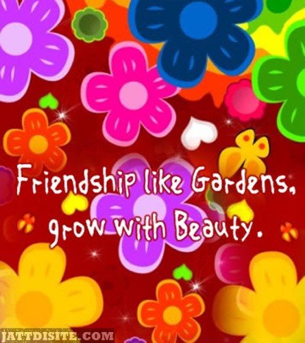Compare-Friendship-With-Beauty-