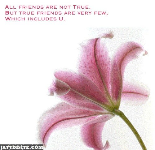 All Friends Are Not True But True Friends Are Very Few 