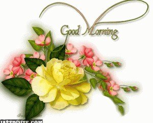 Beautiful Good Morning To All My Friends