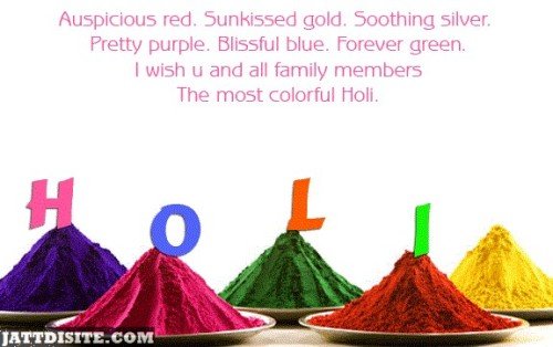 The Color Of  Love Holi