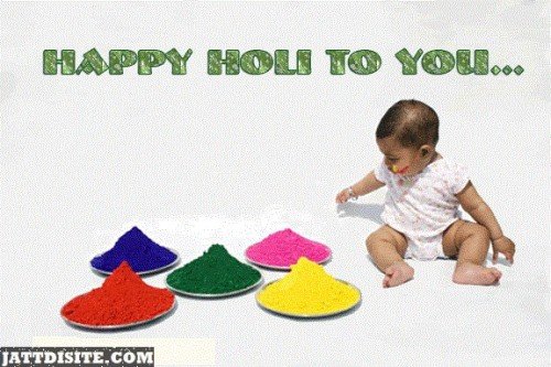 Happy Holi Celebration