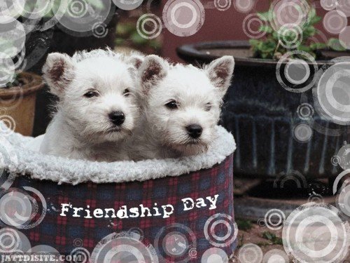 Have-A-Friendship-Day-