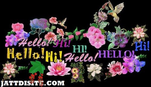 Hello-Flower