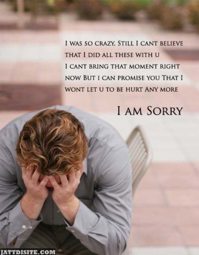 I Am  Sorry I Hurt You