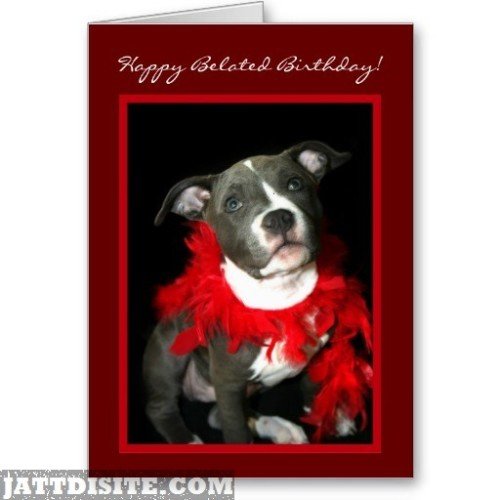 Happy-belated-birthday-pitbull-puppy-card