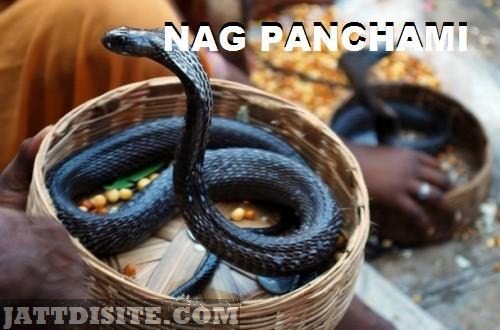 Naag-Panchami-11