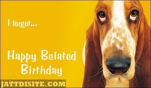 Sad-dog-forgot-happy-belated-birthday