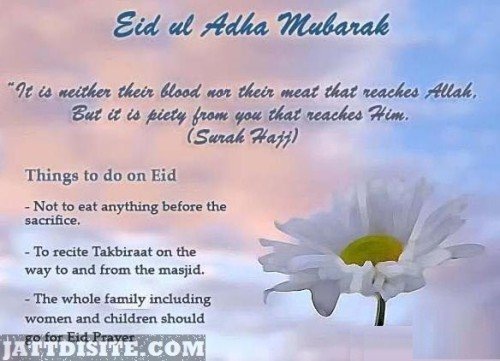 eid-ul-adha-mubarak