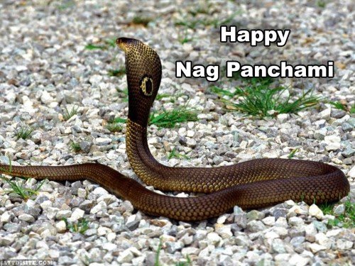 happy-nag-panchami