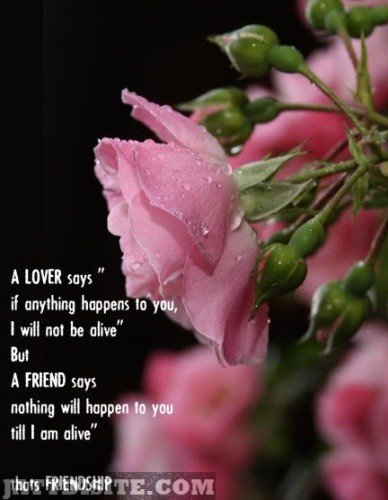 love-and-friendship-graphic