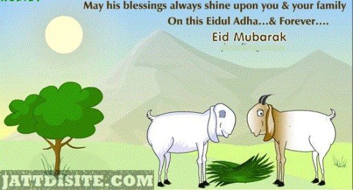 may-this-blessings-always-shine-upon-you-your-family-in-this-eidul-adha-forever-eid-mubarak