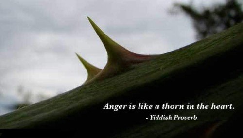 Anger Is Like Thron