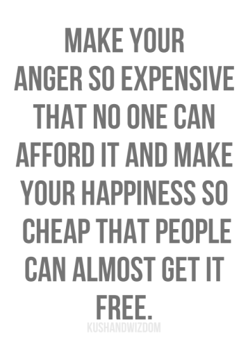 Anger So Expenssive