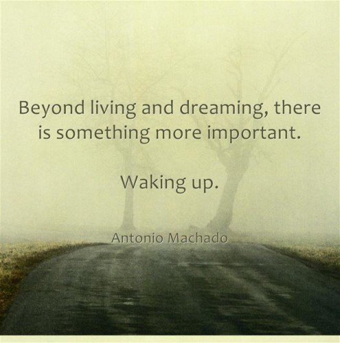 Beyond Living And Dreaming There Is Something More Important Waking Up