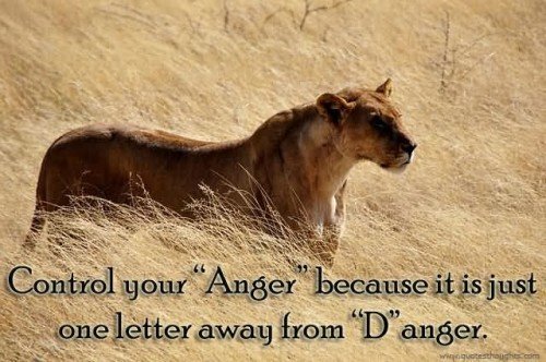 Control Your Anger