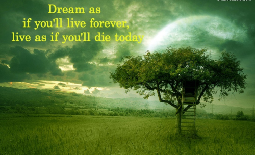 Dream As IF You Will LIve