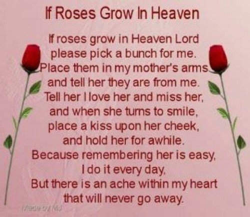 If roses Grow Miss You quote