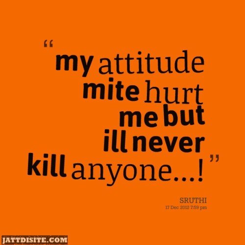 7141-my-attitude-mite-hurt-me-but-ill-never-kill-anyone-1