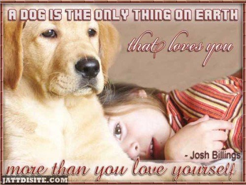 A Dog Is The Only Thing On Earth That Loves You More Than You Love Yourself.