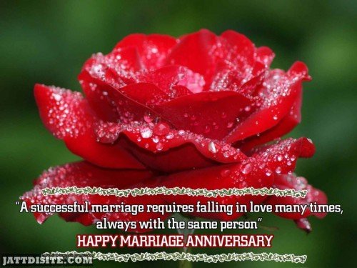 A Successful Marriage Requires Falling In Love Many Times Alawys With The Same Person - Anniversary Quote