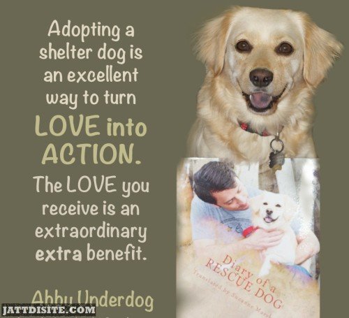 Adopting A Shelter Dog Is An Excellent Way To Trun Love Into Action - Parents Love Quote