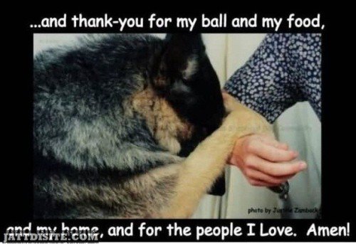 And Thank You For My Ball And My Food And My Home And For The People I Love Amen - Dogs Quote