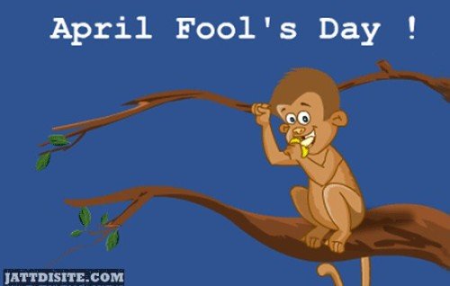 April Fools Day Monkey Animated Graphic