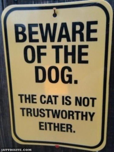 Beware Of The Dog The Cat Is Not Trustworthy Either - Dogs Quote