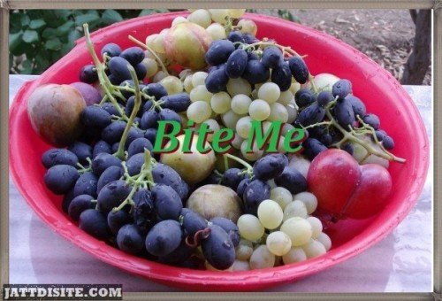 Bite Me Grapes In Basket