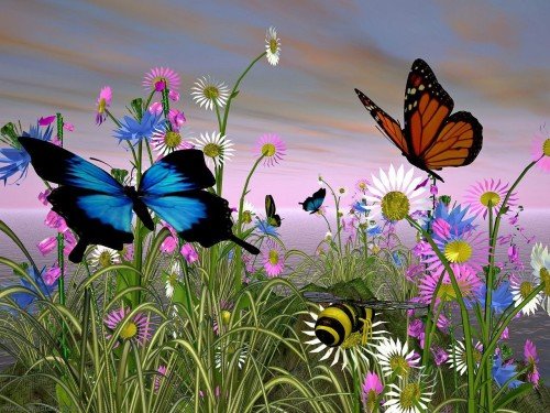 Butterflies Flying