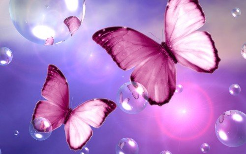 Butterfly Sweet Wallpaper