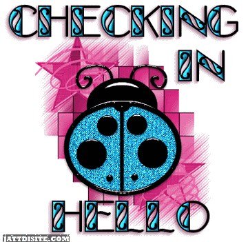 Checkinh In Hello- Graphic