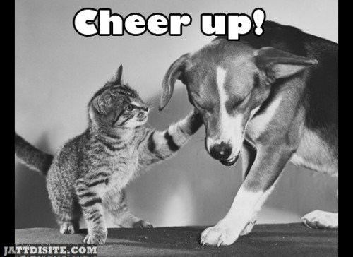 Cheer Up Cat and Dog