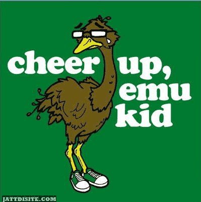 Cheer Up Emu Kid