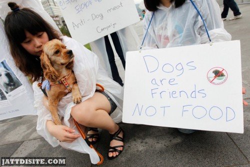 Dogs Are Friends Not Food