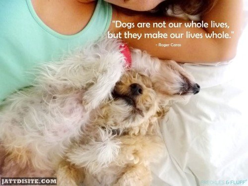 Dogs Are Not Our Whole Lives But They Make Our Lives Whole